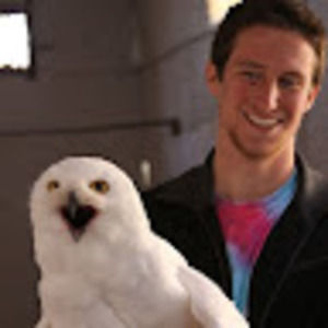 Meet your Posher, Bob